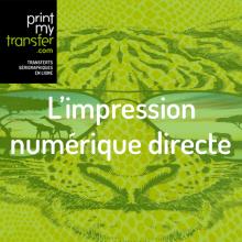 L'impression numérique directe (DTG), c'est quoi ?